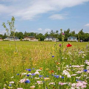 Otters Mead Boutique Lodges